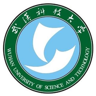 武汉科技大学 工科